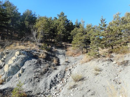 Quitter la piste ici pour trouver le sentier (balisage jaune) qui monte sur la croupe