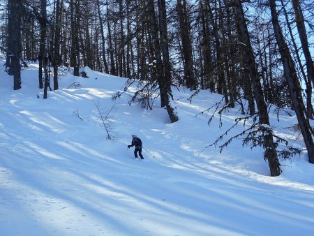 Descente