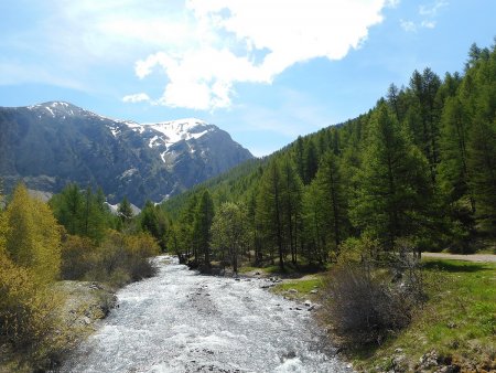 Torrent de Crévoux depuis le Pont du Plan (parking)