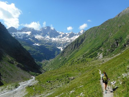 Dans le rétro