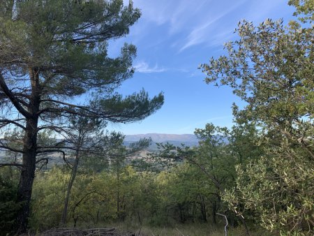 Montagne de Lure.