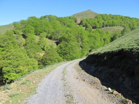 toujours sur la piste de Zihigolatze