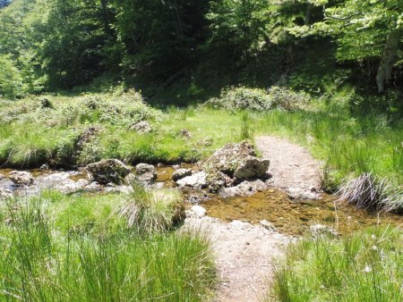 Plusieurs traversées du ruisseau.