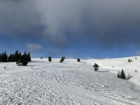 Vers les crêtes. 