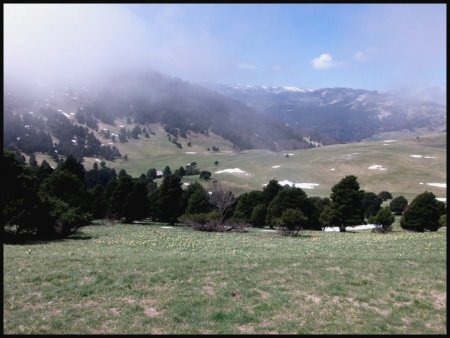 Alpage de Jiboui. Je vise la cabane.