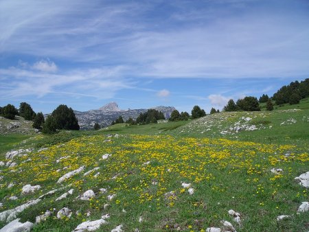 Le Grand Veymont s’éloigne