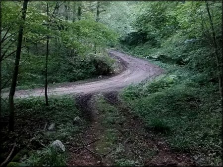 Coude de la petite route du Désert à prendre en montant.