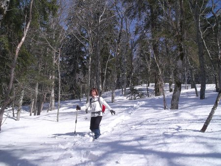 Dans la forêt