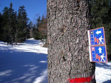 A une bifurcation, prendre à gauche