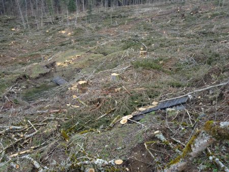 Les passerelles ont été emportées