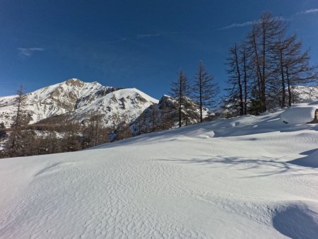 Le Mont Pelat omniprésent.