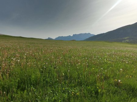 Départ du Col du Festre