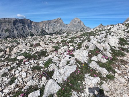 Col de Darne