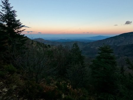 Crépuscule dans le Bois de Patriques.