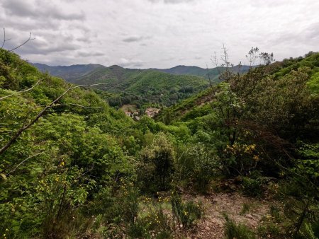 Vue vers Valleraugue en prenant de la hauteur.