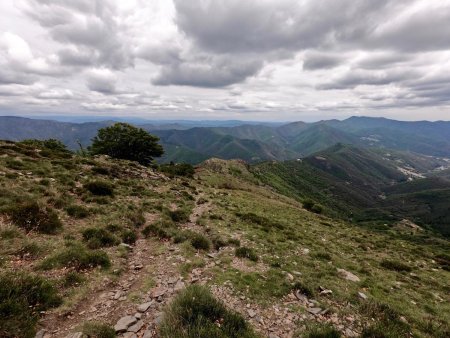 Vers le Mont Lozère tout au fond à gauche.