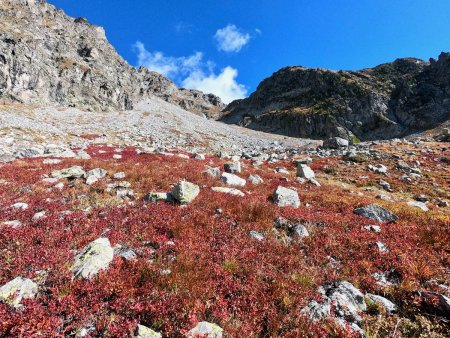 Avec les couleurs d’automne.