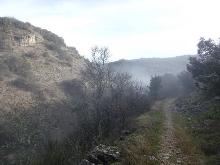 Vallée du ruisseau de Vendoule