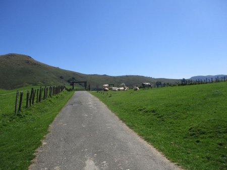 Un porche marque l’entrée (pour nous la sortie) du domaine d’EstebenBorda.