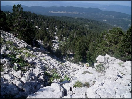 Les lapiaz. Regard arrière vers la Prairie de Darbounouse.