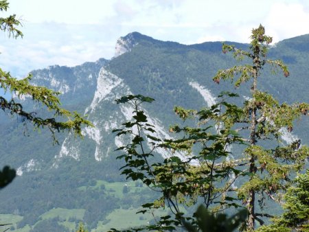 Vue de l’Alpette