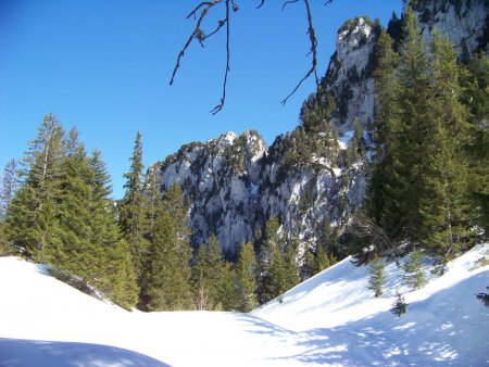 Le vert chartreuse, déjà !