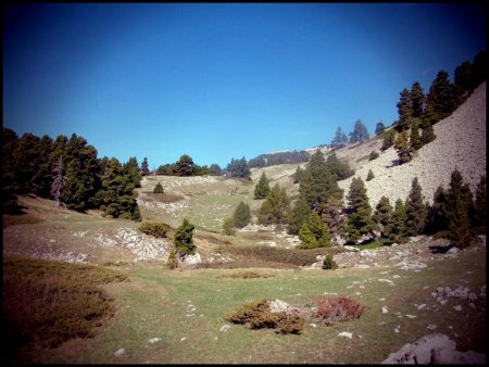 Vallon au Pas du Gris.