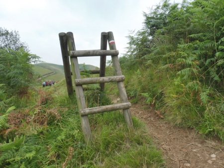 Le replat est atteint, passage près d’un échalier.