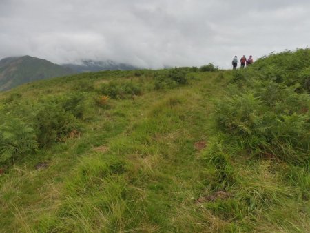 Après la haie-clôture, on remonte sur la crête de l’ Handiagamendi.