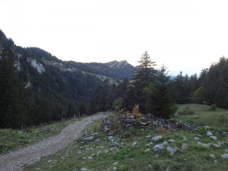 Regard arrière sur le Mont Baron