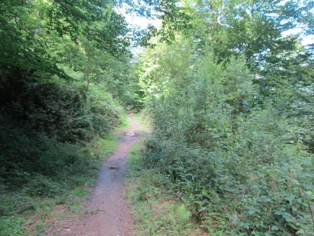 Sur le sentier de descente