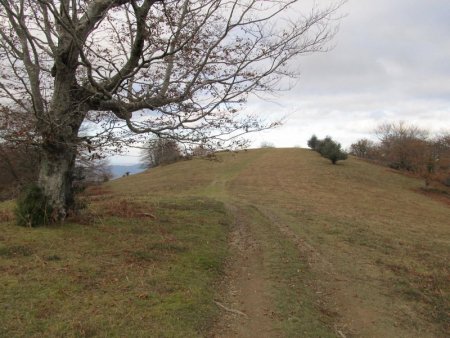 Qui se dirige vers le Saiberri (on est sur le PR des palombières de Sare)..