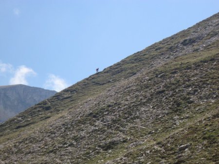 Un petit homme pour la montagne...