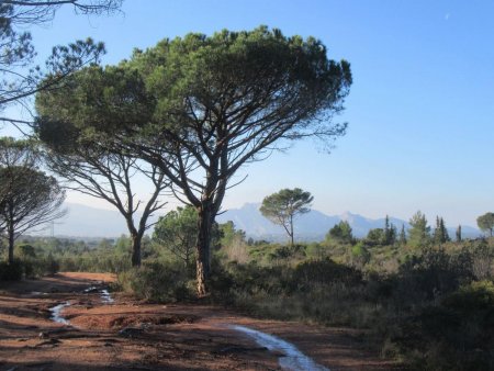 Déjà le retour sur la piste «La Tranchée» ! Direction le Sud.