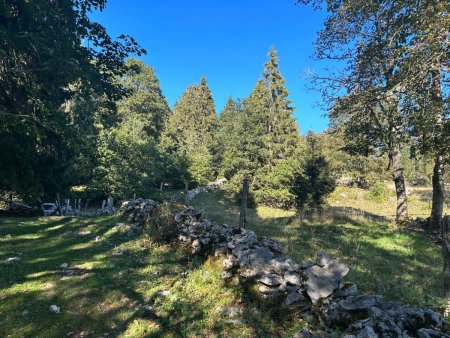 Sur les frontières. Un trait sur la carte, un mur sur le terrain...