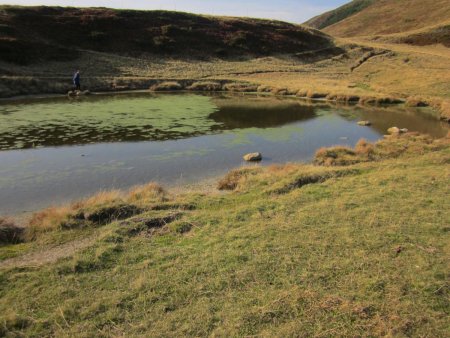 lac des grenouilles