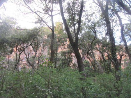 Vue du sentier en sortant par le haut du Vallon de la Baume Renaude.