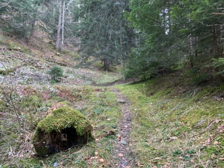 Peu après le départ, un début février à 1300 mètres...