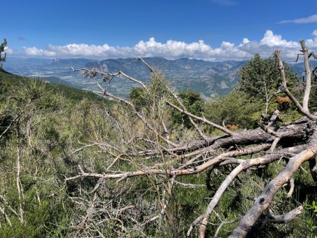 Vue sur la vallée de la Durance au sud de La Saulce