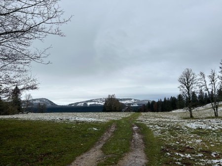 Premiers pas sur l’Herba, avec Aiguilles de Baulmes et Suchet en ligne de mire