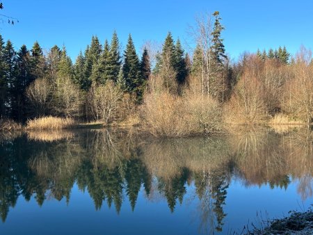 L’étang des Perchettes, remis en eau en 2004 