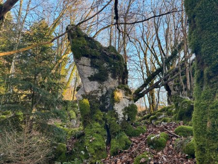 Chaos rocheux en amont de la Roche des Sarrasins