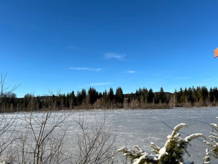 Lac et tourbière attenante