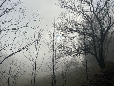 Retour dans la semoule, en descendant vers Sainte-Croix