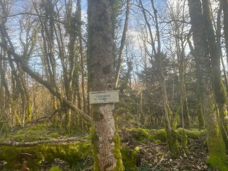 Le vieux Château de Sainte-Anne ou plutôt ce qu’il en reste...