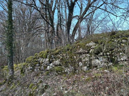 Le mur en blocs cyclopéens du Chemin des Ânes. Le maçon s’appelait Hercule...