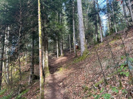 La sentier au-dessus de la Source Bleue