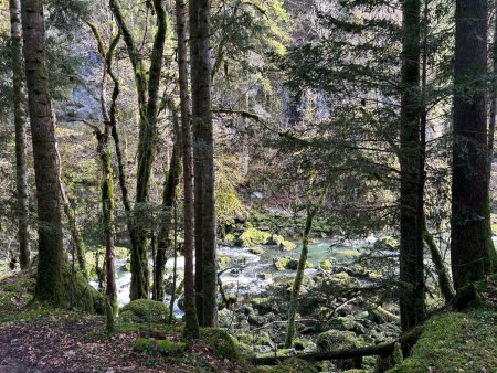 Le long du Doubs