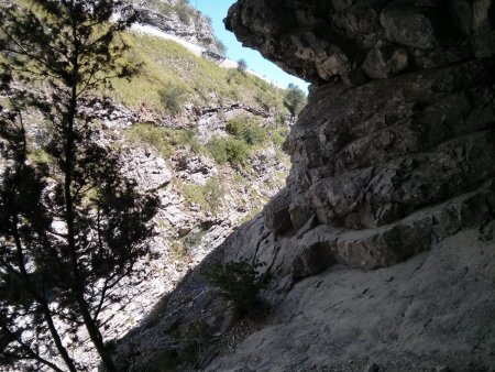 Un peu de fraîcheur sous une autre baume...