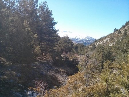 En longeant le Torrent des Queyras, dans le rétro